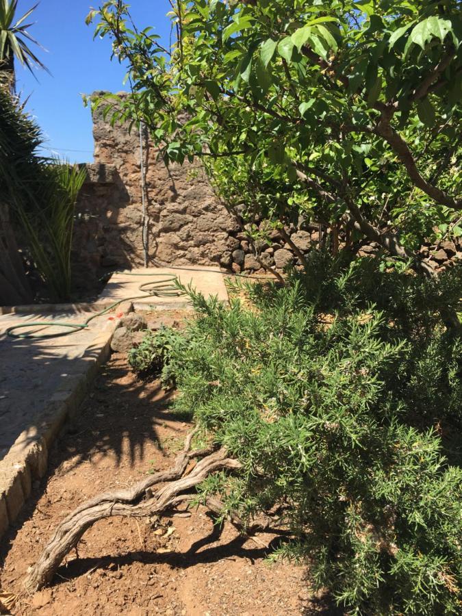 Cactus B&B Le Casette Di Marilena ปันเตลเลเรีย ภายนอก รูปภาพ