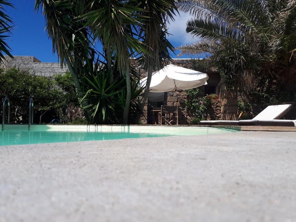 Cactus B&B Le Casette Di Marilena ปันเตลเลเรีย ภายนอก รูปภาพ